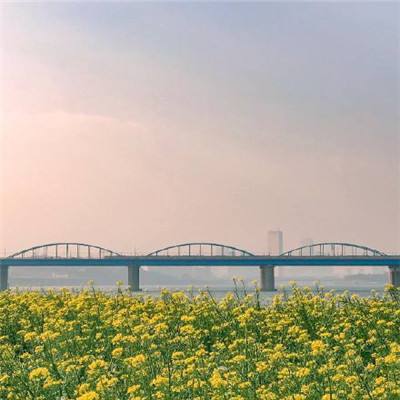 把牢保护黄河流域生态基准线 推动黄河保护法深入贯彻实施